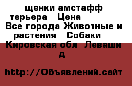 щенки амстафф терьера › Цена ­ 30 000 - Все города Животные и растения » Собаки   . Кировская обл.,Леваши д.